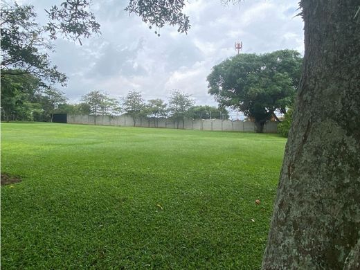 Rustik ya da çiftlik Alajuela, Cantón de Alajuela