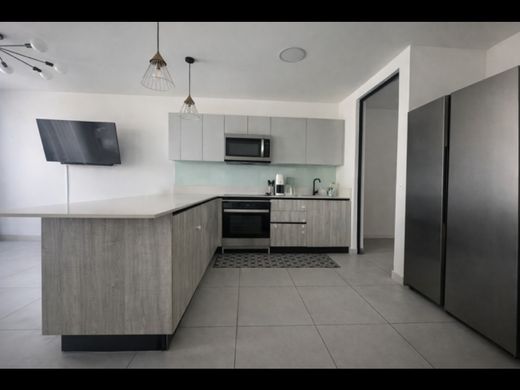 호화 저택 / Santa Ana, Provincia de San José