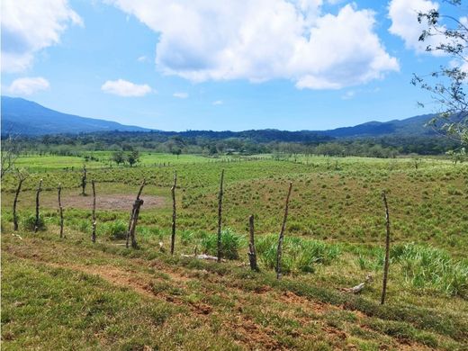 전원/농가 / Upala, Provincia de Alajuela