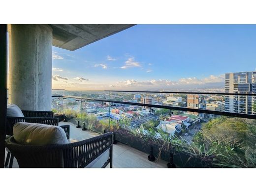 Apartment in Mata de Palo, Cantón de San José