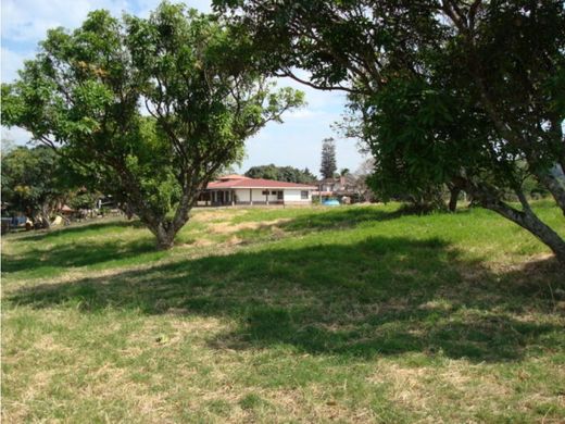 Αγροτεμάχιο σε Belén, Carrillo