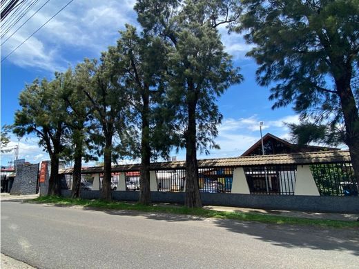 Appartementencomplex in Echeverría, Flores