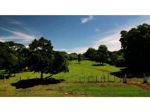 ﻣﻨﺰﻝ ﺭﻳﻔﻲ/ ﺑﻴﺖ ﻤﺰﺭﻋﺔ ﻓﻲ San Mateo, Provincia de Alajuela