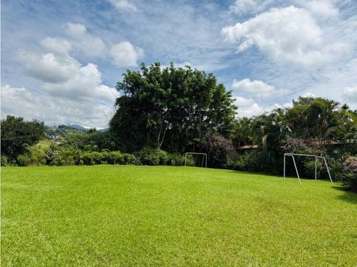 Rural ou fazenda - San Josecito, San Isidro