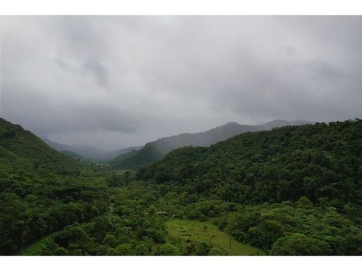 Rustik ya da çiftlik Orosi, Paraíso