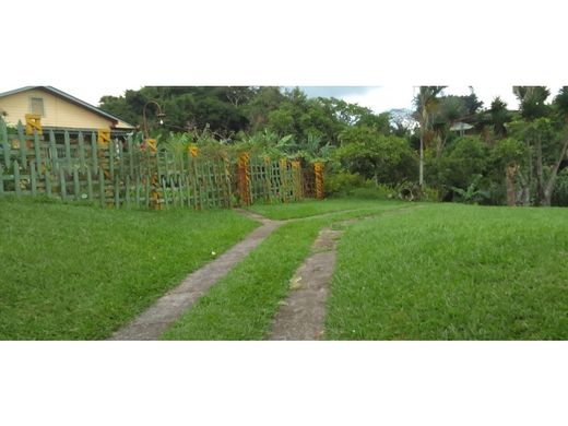 Grond in San Isidro de Coronado, Vázquez de Coronado