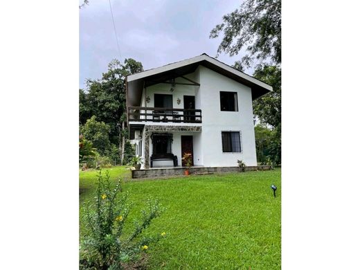 Propriété de campagne à La Fortuna, San Carlos