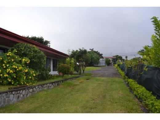 Grond in San Antonio, Belén