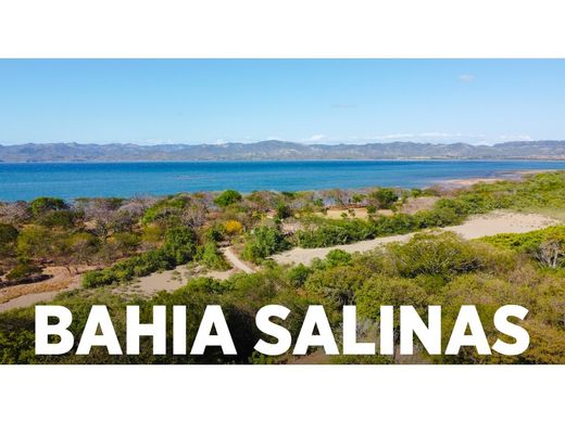 Grond in La Cruz, Acosta