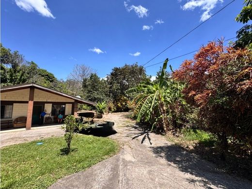 Arsa Alajuela, Cantón de Alajuela