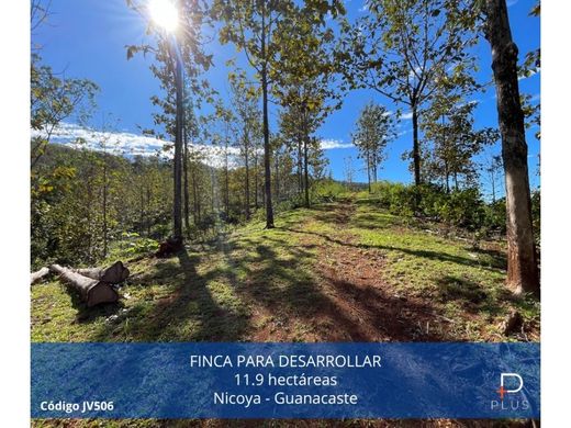 ‏בתים כפריים או חוות ב  Nicoya, Provincia de Guanacaste