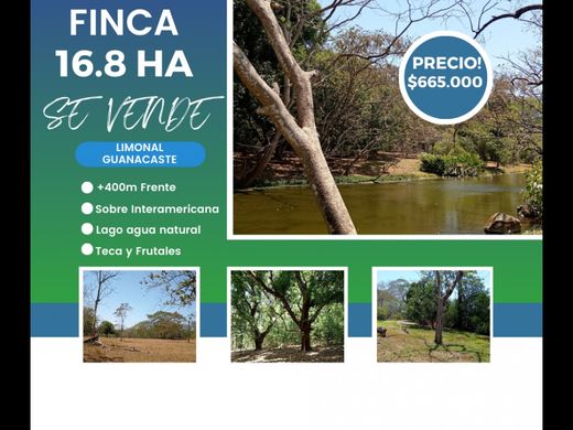 Dos de Abangares, Abangaresのカントリー風またはファームハウス