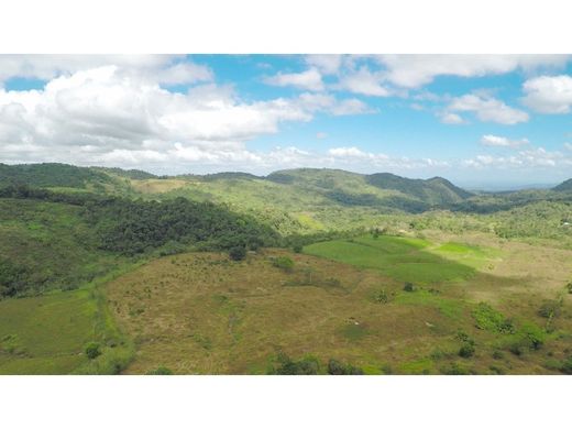 Boerderij in San Ramón, Provincia de Alajuela