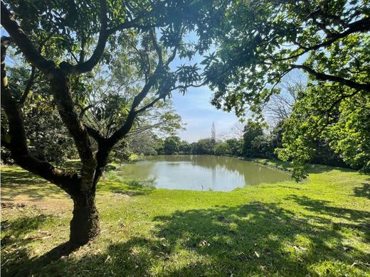 Boerderij in Atenas, Provincia de Alajuela