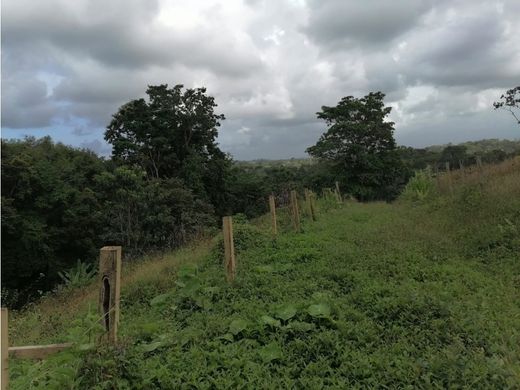 Puerto Viejo, Provincia de Limónのカントリー風またはファームハウス