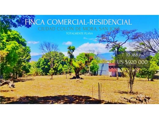 Boerderij in Colón, Mora