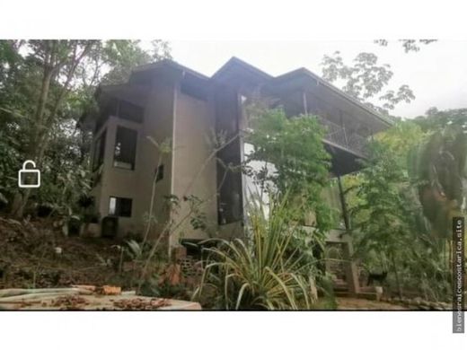 Luxury home in Bajo Pérez, Acosta
