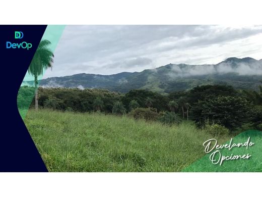 ‏בתים כפריים או חוות ב  San Mateo, Provincia de Alajuela