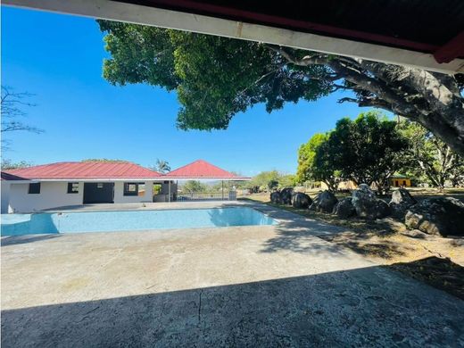 Участок, Coyol, Cantón de Alajuela