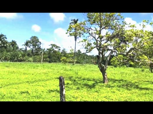 Land in Limón, Cantón de Limón