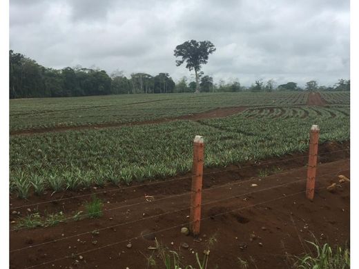 Boerderij in Quesada, San Carlos