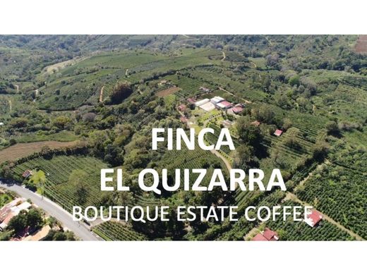 전원/농가 / Carrizal, Cantón de Alajuela