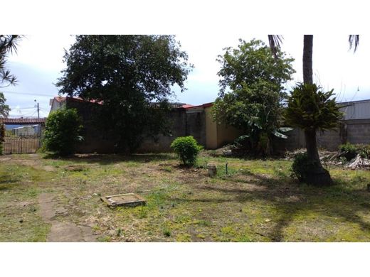 Land in Echeverría, Flores