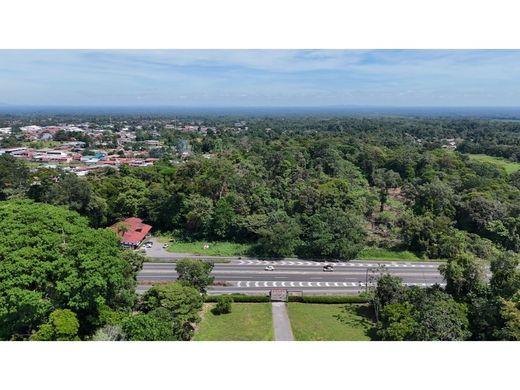 Boerderij in Guápiles, Pococí