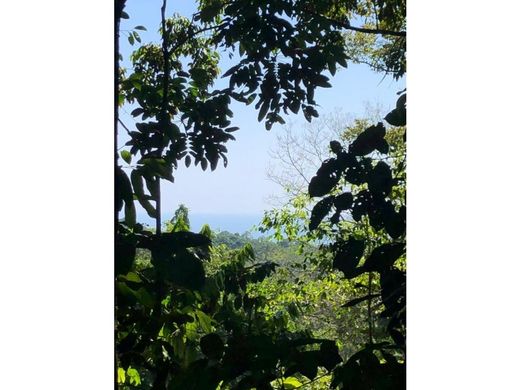 Cortijo o casa de campo en Puerto Cortés, Osa