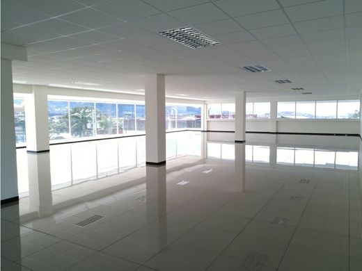 办公室  聖荷西, Cantón de San José