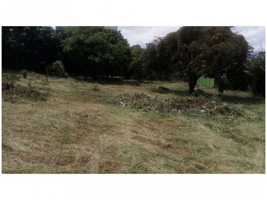 أرض ﻓﻲ Carlos María Ulloa, Provincia de San José