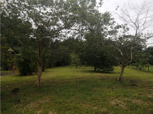 Terrain à Guácima, Cantón de Alajuela