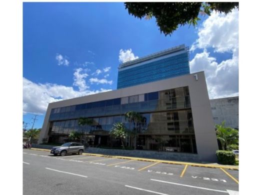 사무실 / Mata de Palo, Cantón de San José