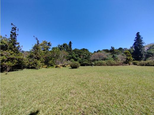 Cortijo o casa de campo en San Rafael, Carrillo