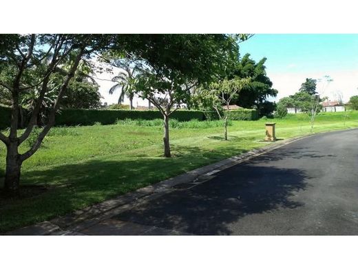 Curridabat, Provincia de San Joséの土地