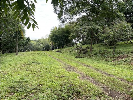 Grundstück in La Garita, Alajuela