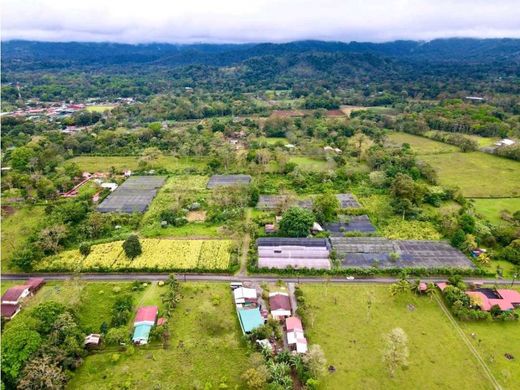Rustico o casale a San Ramón, Provincia de Alajuela
