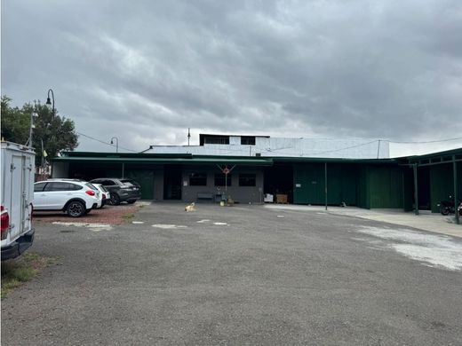 地皮  聖荷西, Cantón de San José
