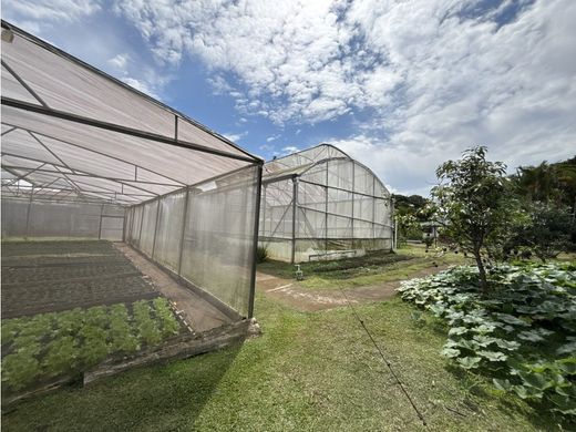 Grundstück in Desamparados, Provincia de San José