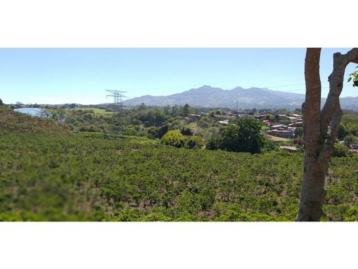 Grond in San Vicente de Moravia, Moravia