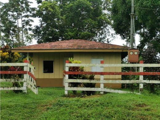 Cortijo o casa de campo en San Ramón, Provincia de Alajuela