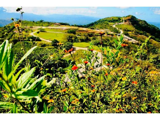 Land in Orotina, Provincia de Alajuela