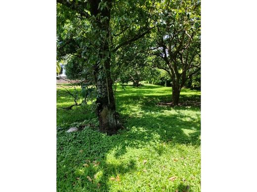 Terrain à Santa Ana, Provincia de San José