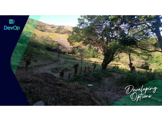 Boerderij in Dos de Abangares, Abangares