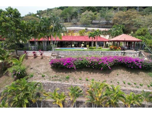 호화 저택 / Atenas, Provincia de Alajuela