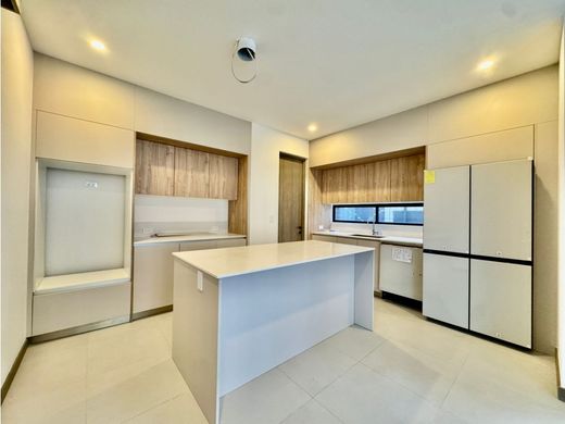 호화 저택 / Santa Ana, Provincia de San José