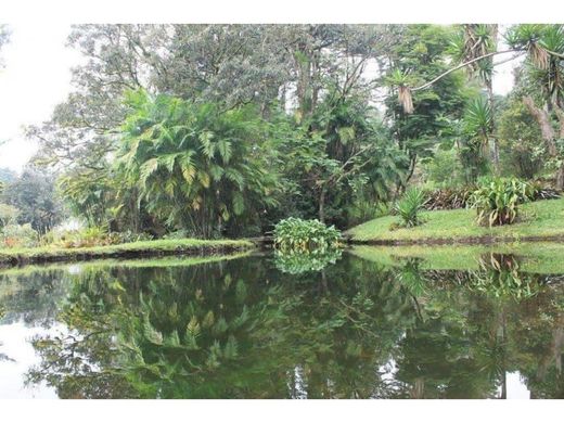 토지 / San Rafael, Provincia de Heredia