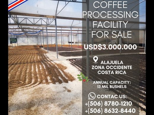 Farmhouse in Alajuela, Cantón de Alajuela