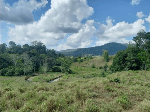 Luxe woning in Puerto Jiménez, Golfito
