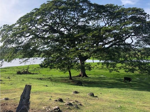 Cortijo o casa de campo en Nicoya, Provincia de Guanacaste